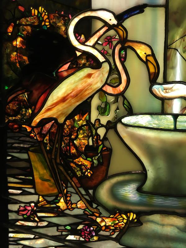 Feeding the Flamingoes